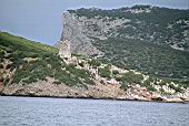 Capocaccia peninsula